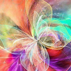 Meet your Posher, Maxine