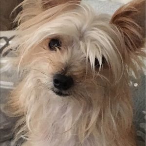 Meet your Posher, Jesica