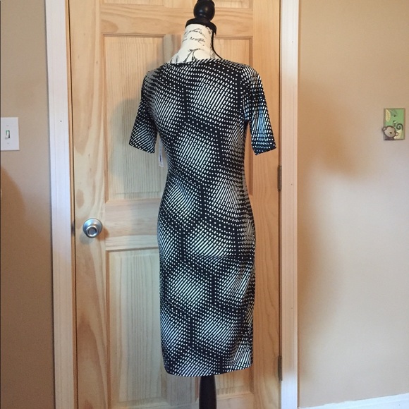 Julia dress BNWT - Picture 4 of 8