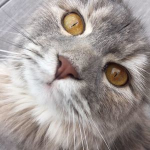 Meet your Posher, Brooks