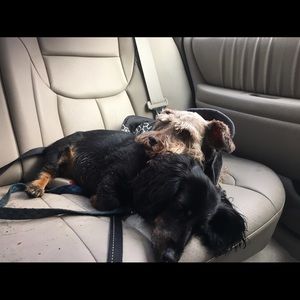 Meet your Posher, Erica