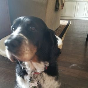 Meet your Posher, Jane