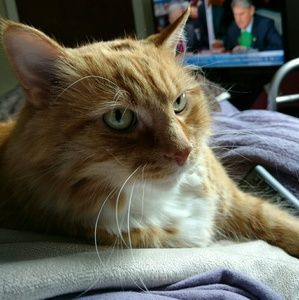 Meet your Posher, Nancy