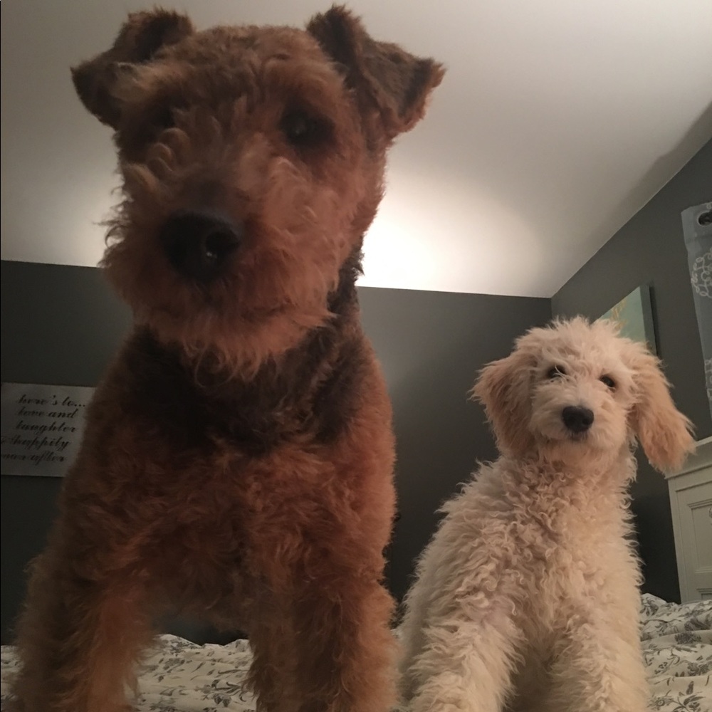 Meet your Posher, Michelle