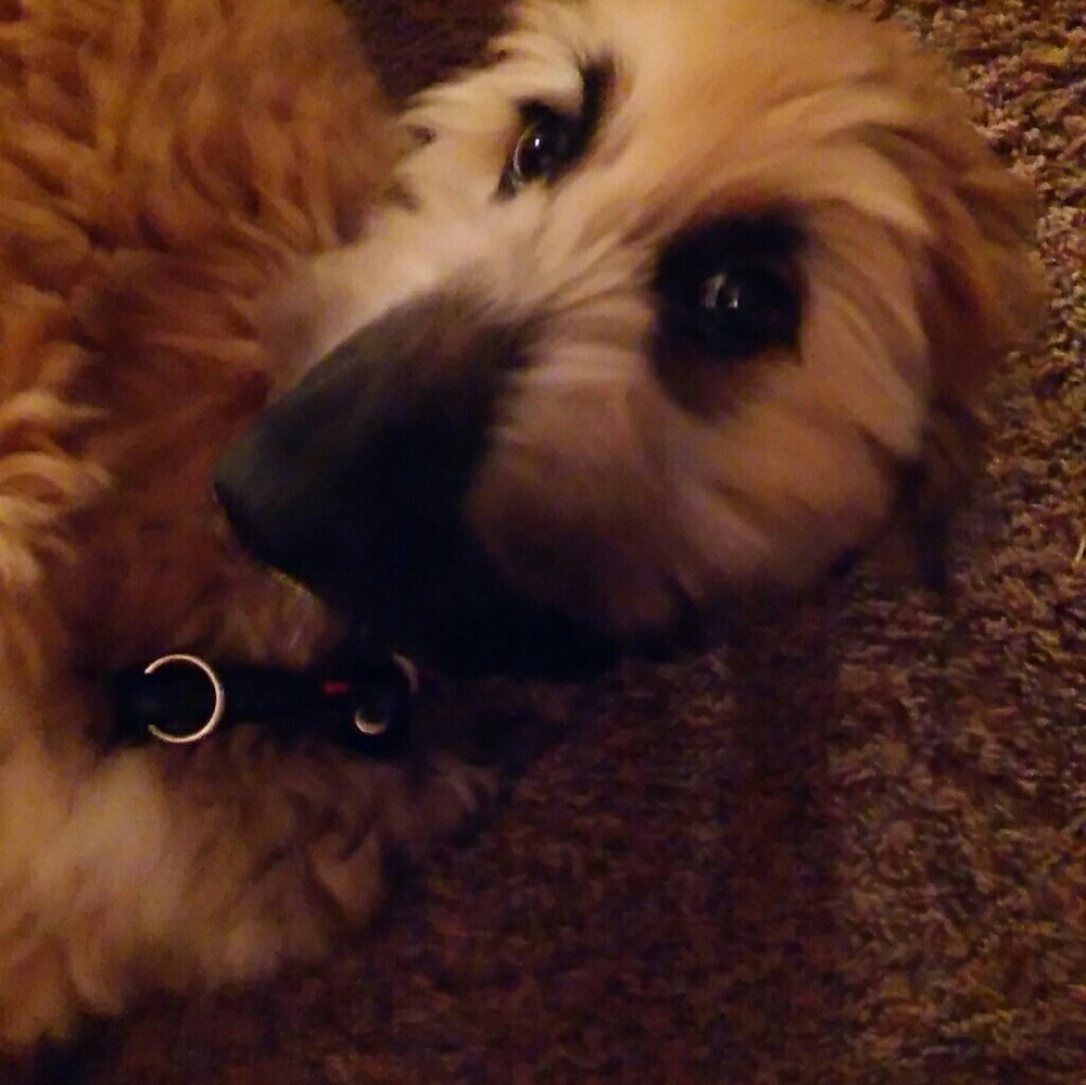 Meet your Posher, Marijon