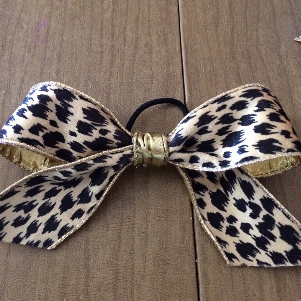 Wcss bow