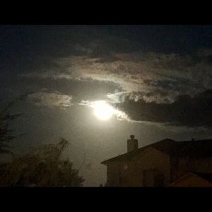 Meet your Posher, Ernest