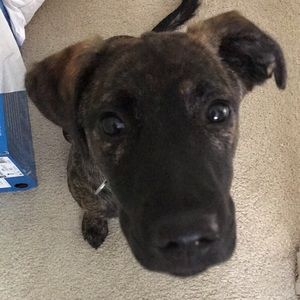 Meet your Posher, Caitlin