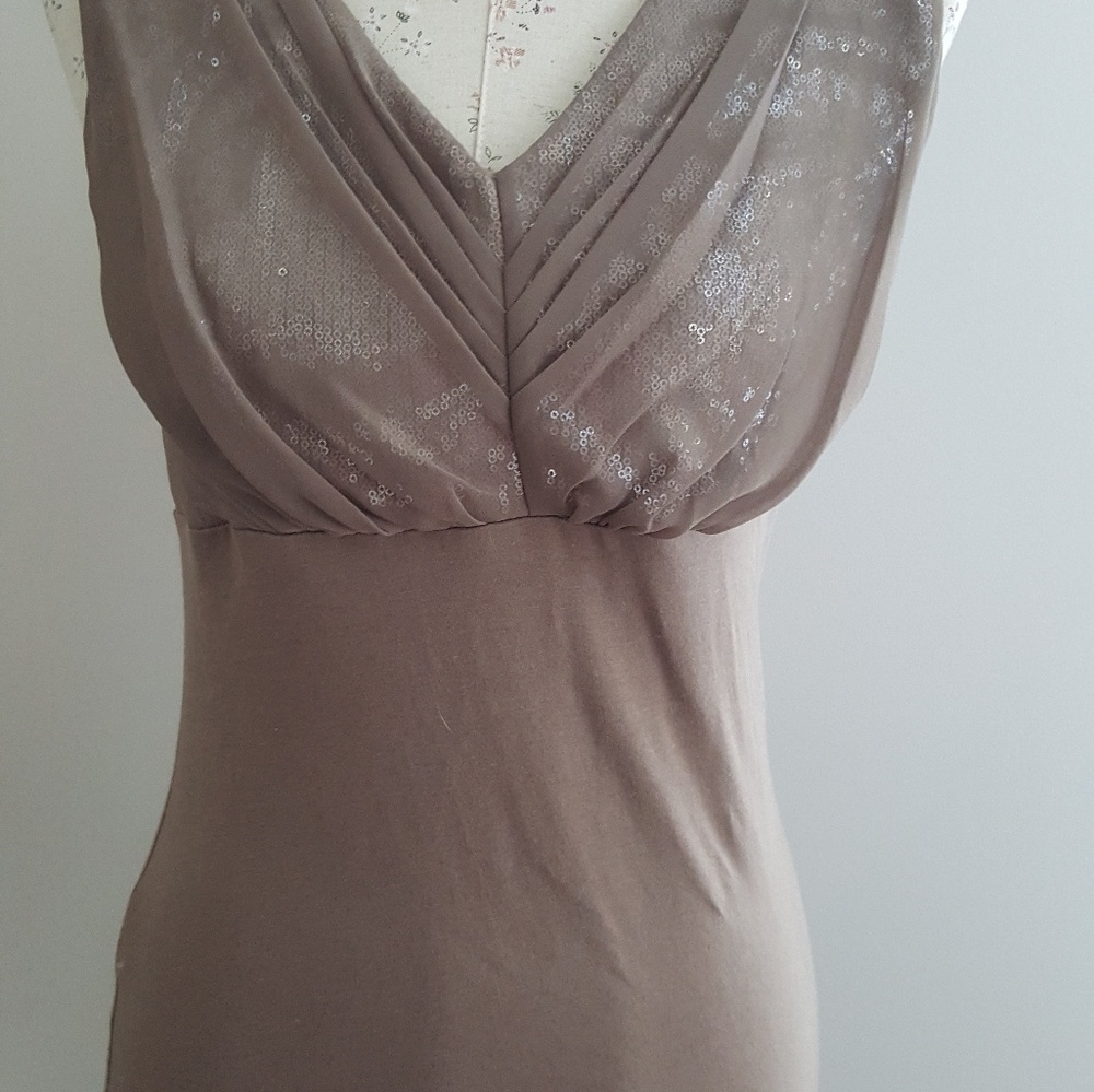 EXPRESS Dressy Top
