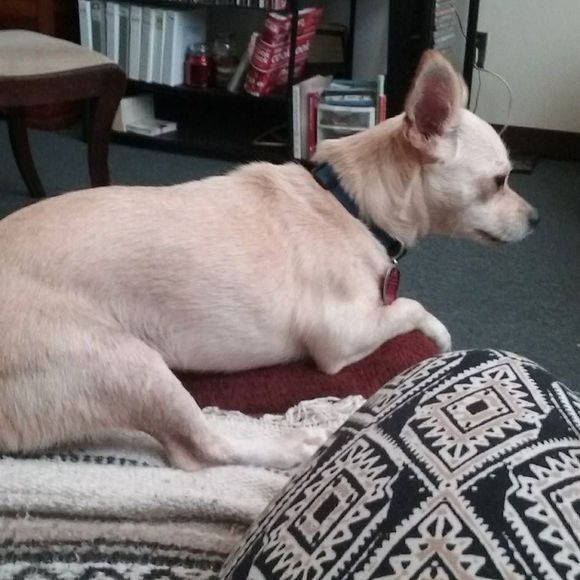 Meet your Posher, Jeanetta - Picture 1 of 1