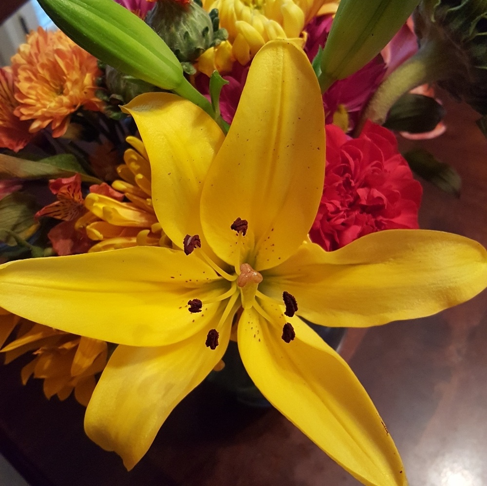 Meet your Posher, Rachael