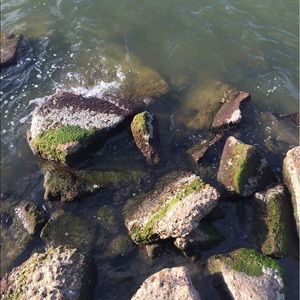 Meet your Posher, Leon