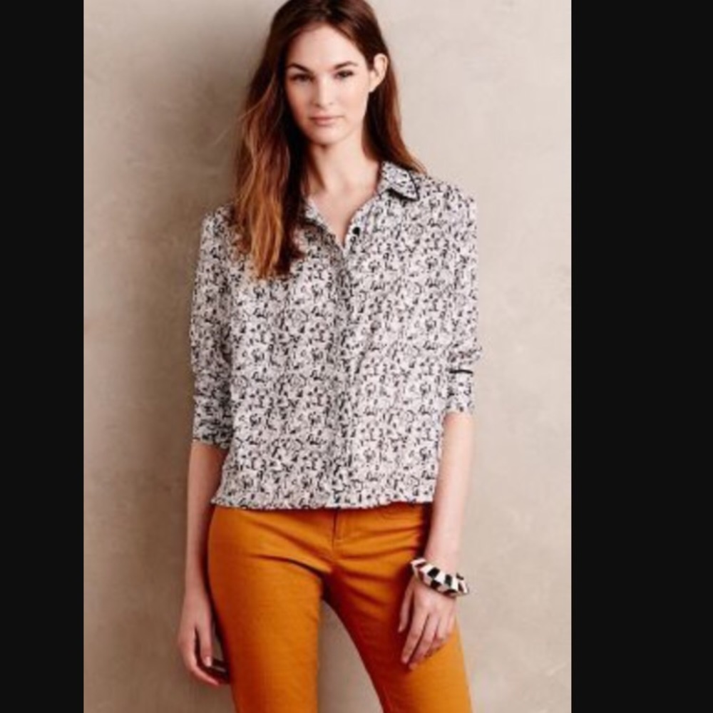 🎉 HOST PICK 🎉Rachel Antonoff Morphology Shirt