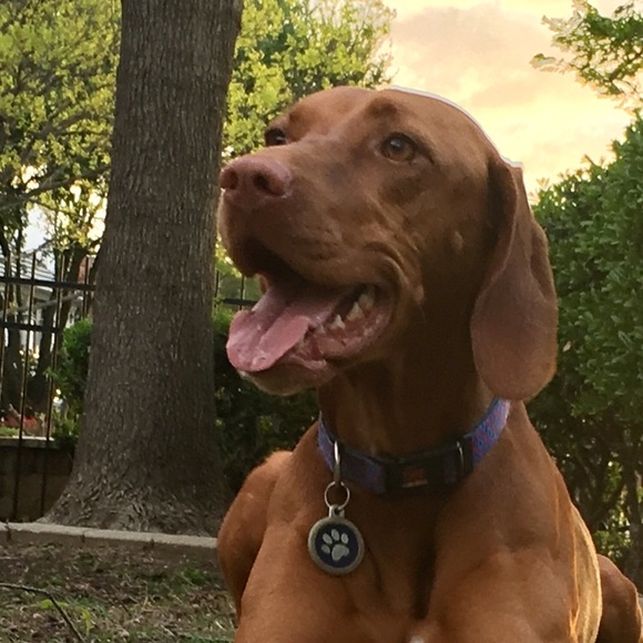 Meet your Posher, Alex - Picture 2 of 2