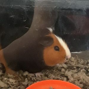 Meet your Posher, Evan