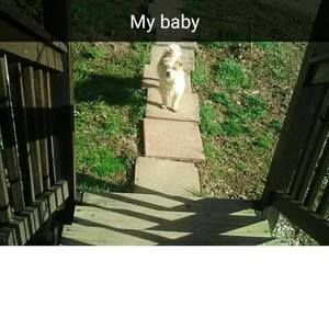 Meet your Posher, Addison