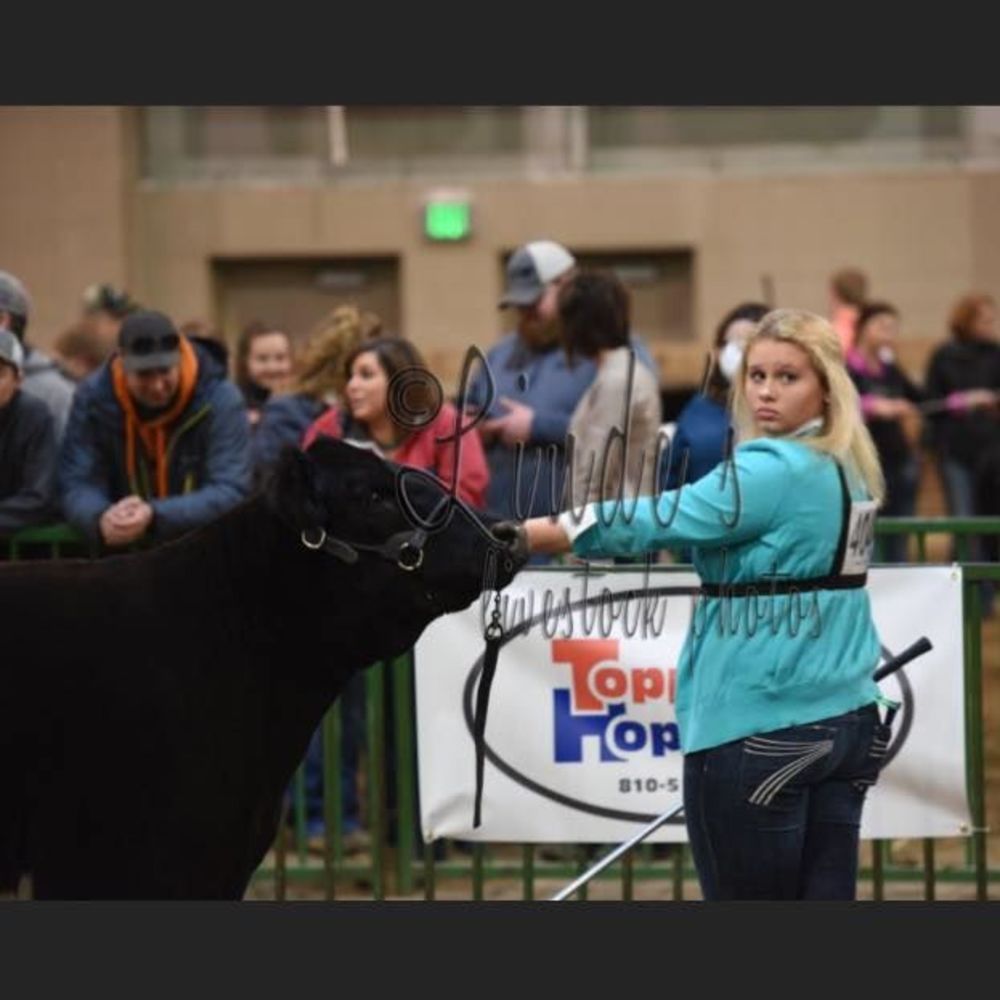 Meet your Posher, Claudia