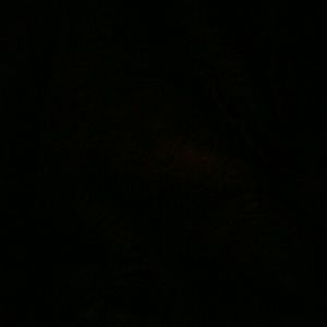 Meet your Posher, Clara