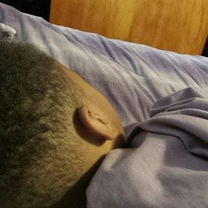 Meet your Posher, Nadine