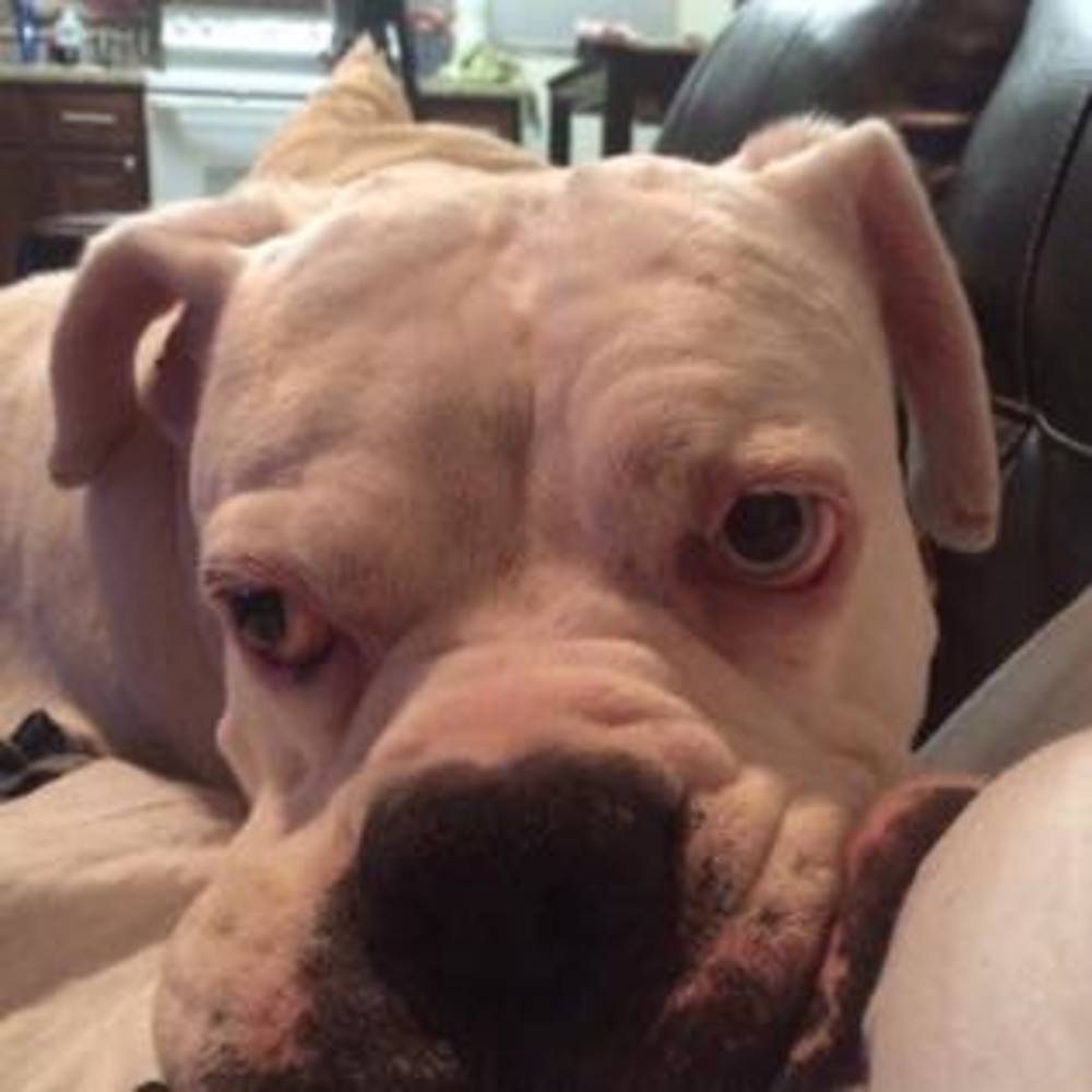 Meet your Posher, Wendy