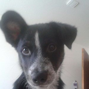 Meet your Posher, Jay