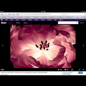 Meet your Posher, Heather