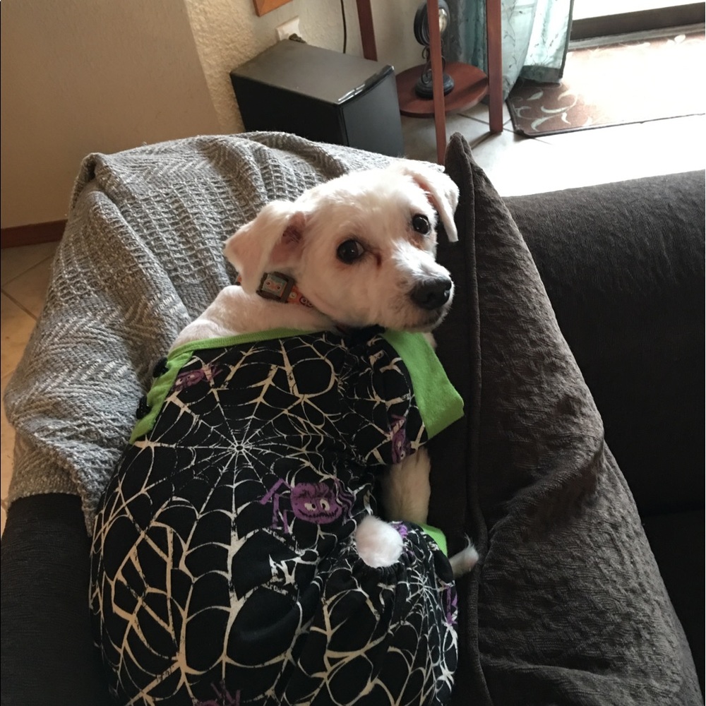 Meet your Posher, Kris