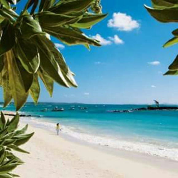 Meet your Posher, Erika - Picture 1 of 1