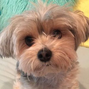 Meet your Posher, Estelle