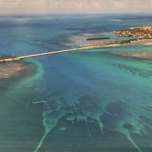 Meet your Posher, Tory