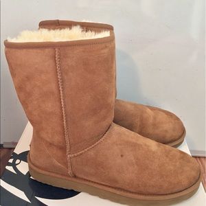 Classic Short Uggs - chestnut