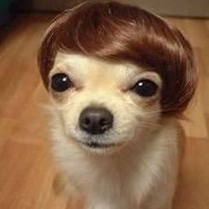 Meet your Posher, Good