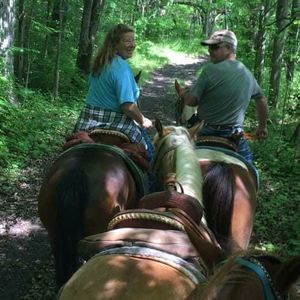 Meet your Posher, Anne