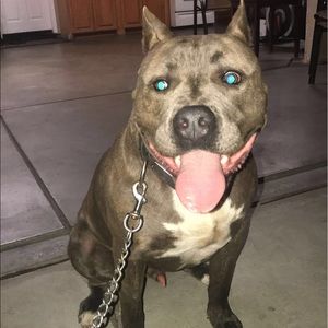 Meet your Posher, Alejandro