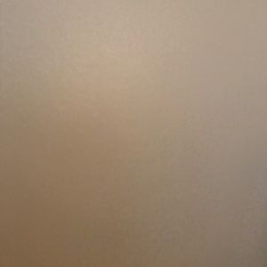 Meet your Posher, Carly