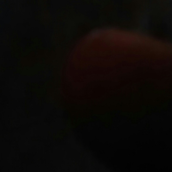 Meet your Posher, Corey - Picture 1 of 1