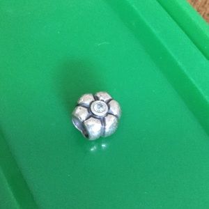 Pandora charm