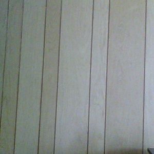 Meet your Posher, Dina