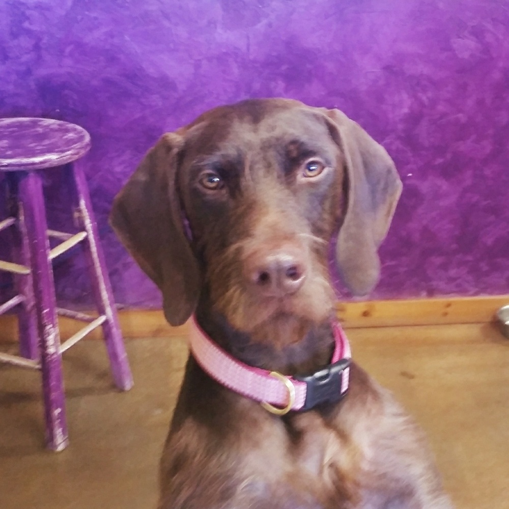 Meet your Posher, Crystal