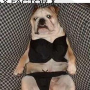 Meet your Posher, Aisha