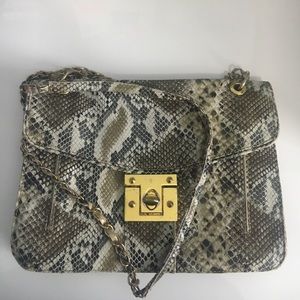Large Clutch From Aldo Shoes