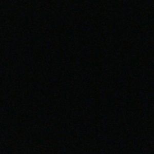 Meet your Posher, Sylvia