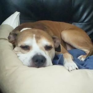 Meet your Posher, Brenda