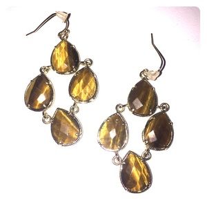 Kendra Scott Carlone Tigers Eye Earrings