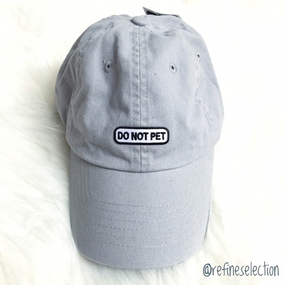 Do Not Pet Grey Dad Hat Cap - Picture 2 of 5