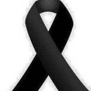 Meet your Posher, Petra