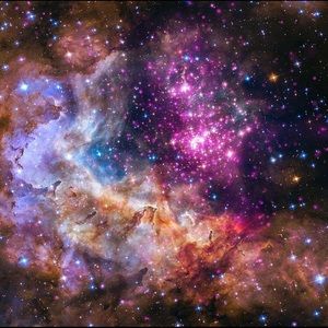 Meet your Posher, Alana