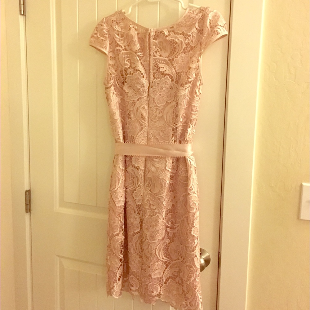 Lace Cap Sleeve Illusion Sheath Dress