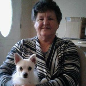 Meet your Posher, Patsy