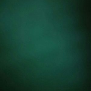 Meet your Posher, Bianca